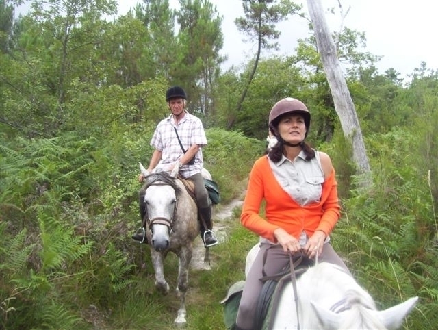 Randonnee equestre pour debutant